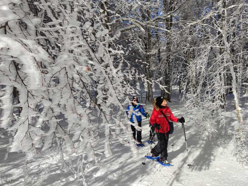 Con la neve ripartono le ciaspolate e le escursioni sul Parco Nazionale del Pollino