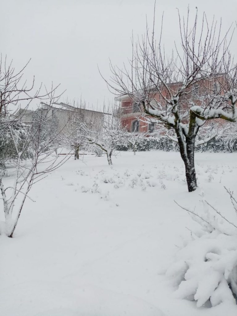 Neve, Cia: Le conseguenze dei continui cambiamenti climatici in agricoltura