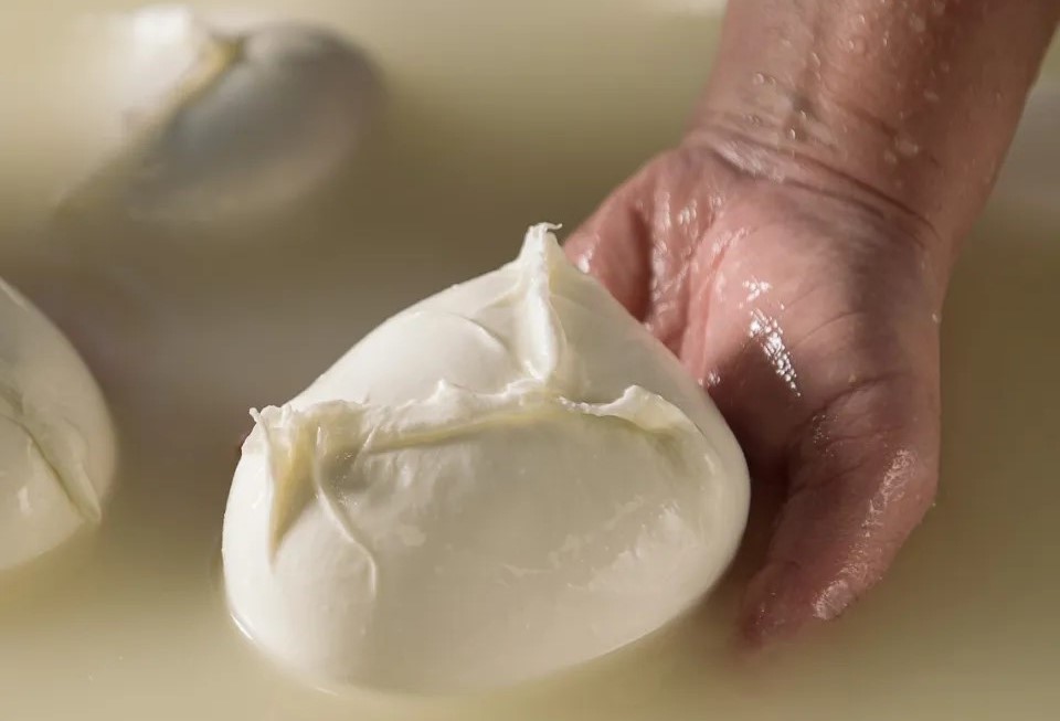 A Napoli la prima conferenza internazionale della mozzarella di bufala e i prodotti lattiero caseari