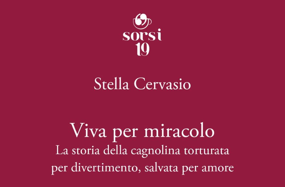 Torna in libreria Stella Cervasio con ‘Viva per miracolo’