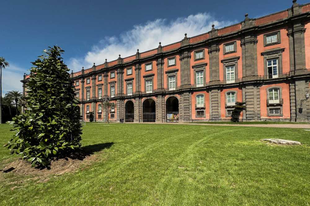 Musica e cultura al Real Bosco di Capodimonte per la prima domenica gratuita del 2025