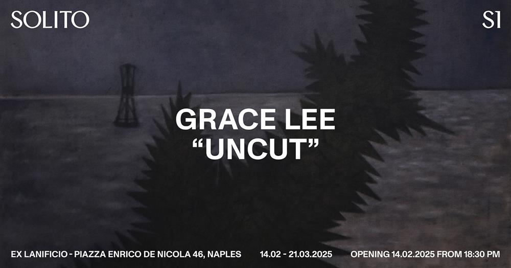 Galleria Solito, Grace Lee ‘Uncut’: mostra a cura di Vincent Vanden Bogaard