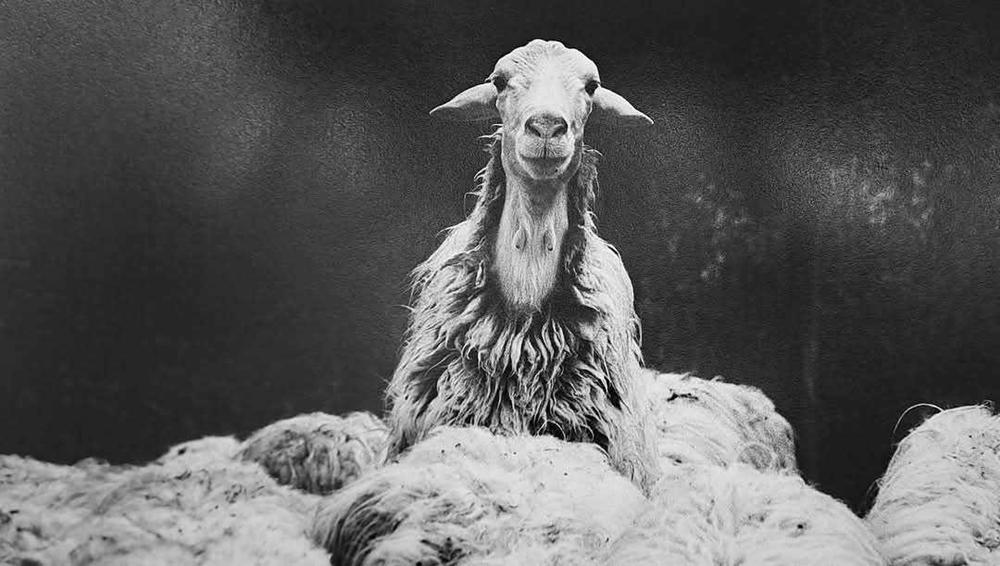 FOTOGRAFIA / L’Irpinia di Francesco Cito