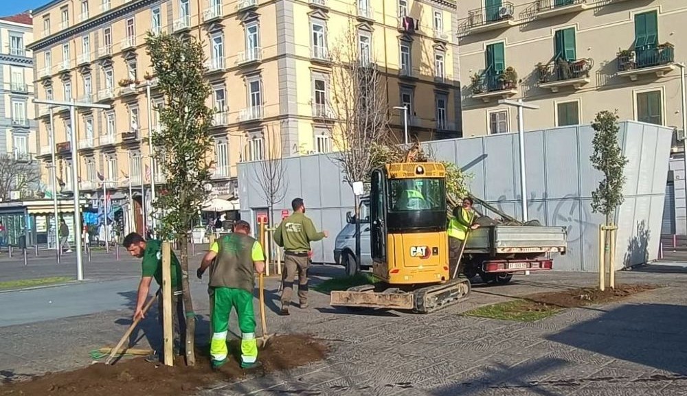 Nuovi alberi a Piazza Garibaldi: il verde urbano torna protagonista a Napoli