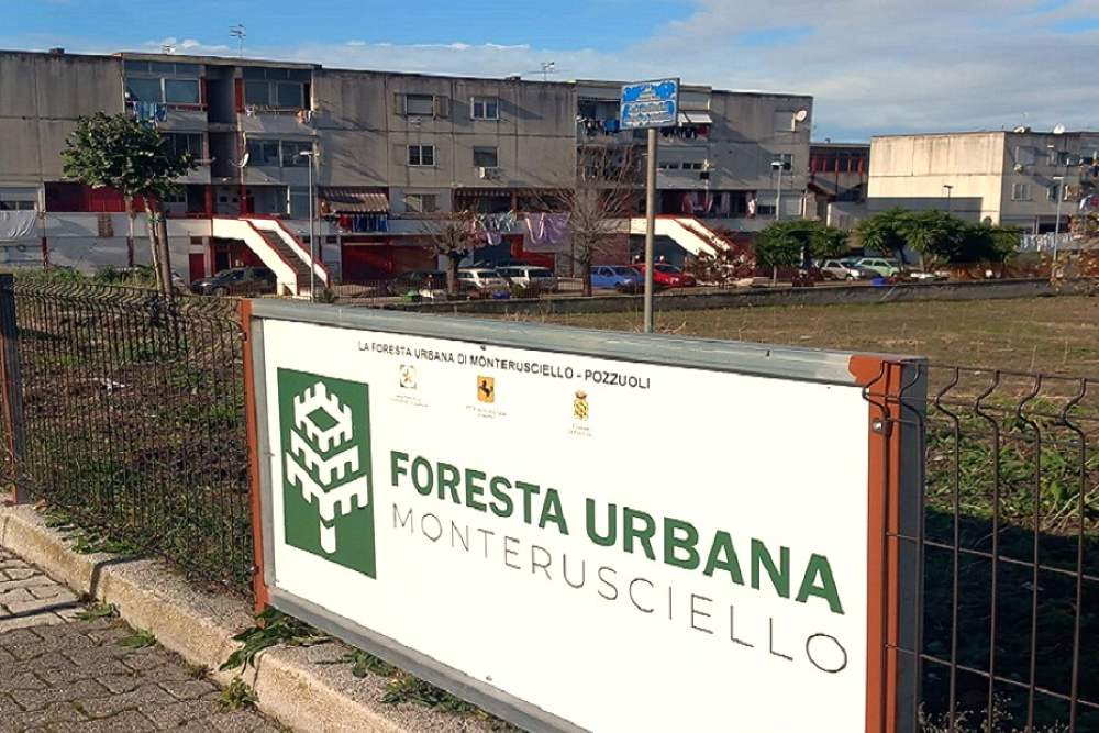 Foresta Urbana di Monterusciello: completata la piantumazione nelle 19 aree del progetto