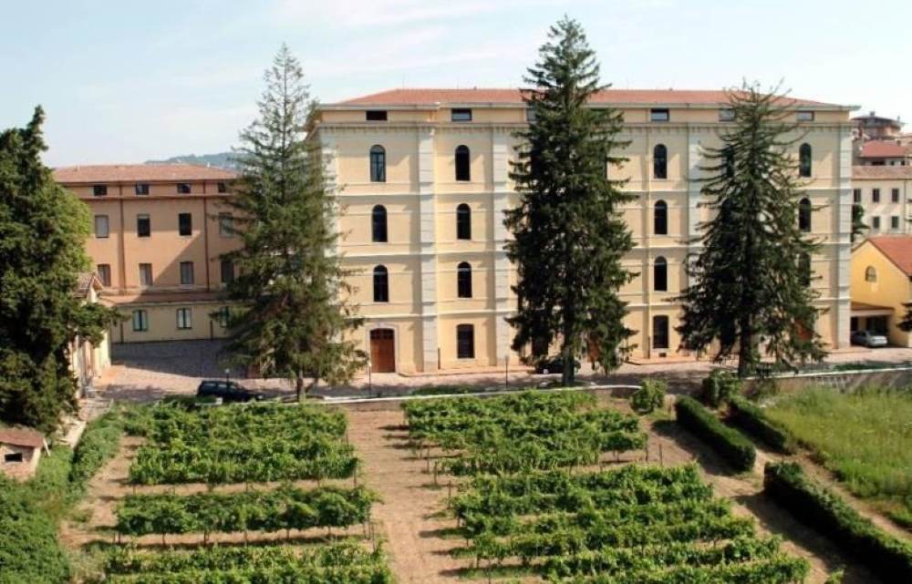 Ad Avellino il XXII Concorso Nazionale Bacco e Minerva per le eccellenze enologiche e olivicole