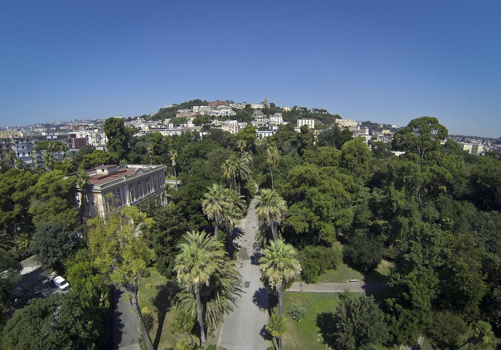 Planta 2025 all’Orto Botanico di Napoli: tre giorni gratuiti tra piante rare, moda green, yoga e musica