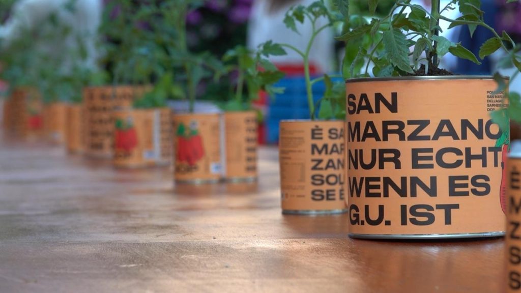 È San Marzano solo se è DOP: il Consorzio rilancia la tutela del vero pomodoro Made in Italy