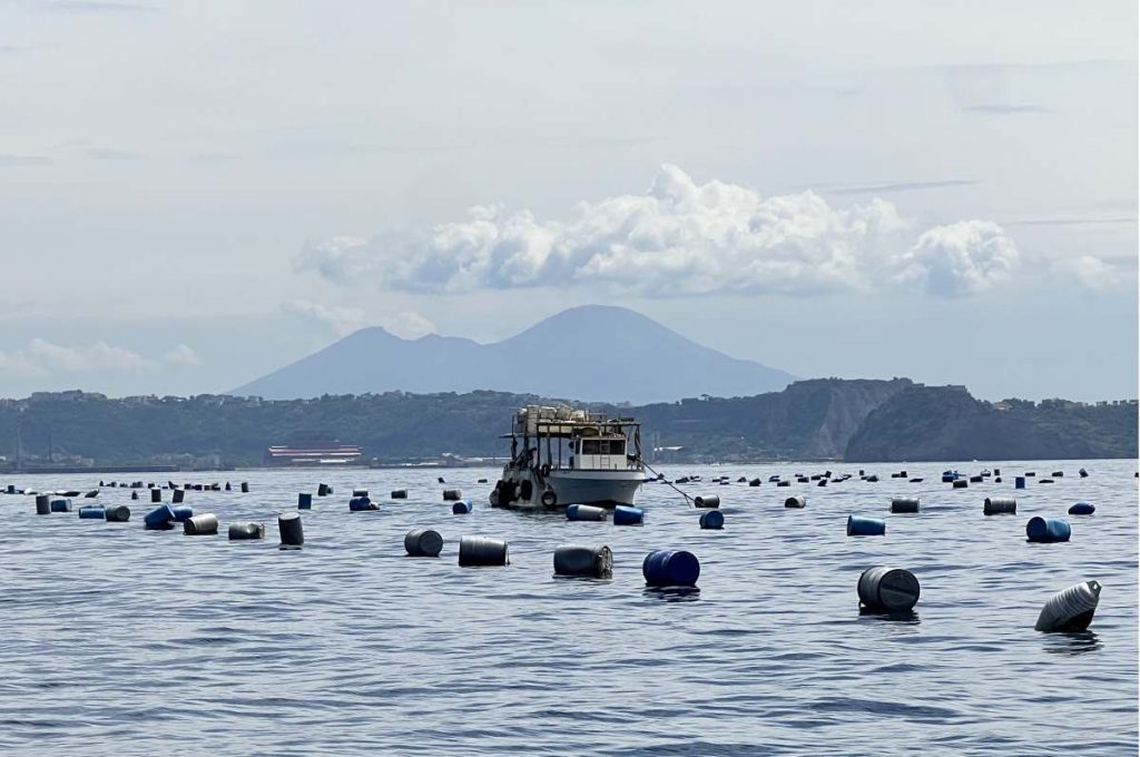 Mytilus Fest 2025 a Bacoli: due giorni tra cozze, musica, degustazioni e mare nei Campi Flegrei