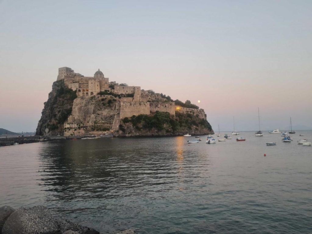 PulseOcean Summer School: giovani scienziati a Ischia per la biodiversità e il cambiamento globale
