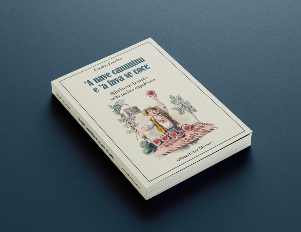’A nave cammina e ’a fava se coce: il nuovo libro di Claudio Pennino sui proverbi botanici napoletani
