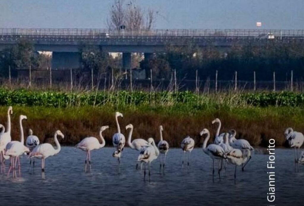Ri-Conoscere il Litorale Domizio, a Caserta la mostra sul riscatto di un territorio di confine