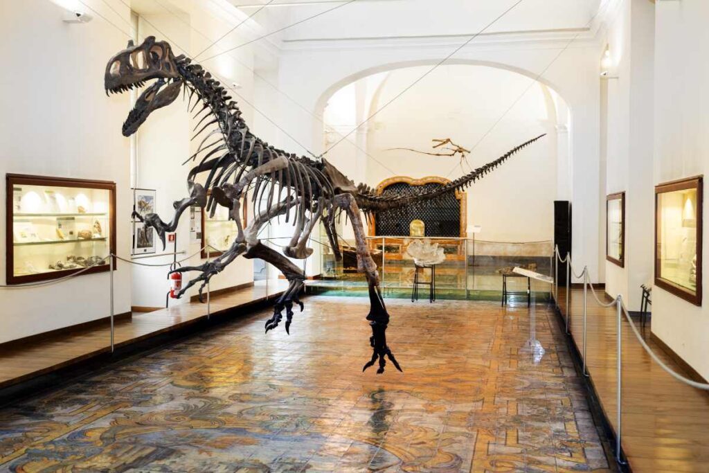 Centro Musei Federico II: a Napoli un patrimonio scientifico più accessibile e inclusivo