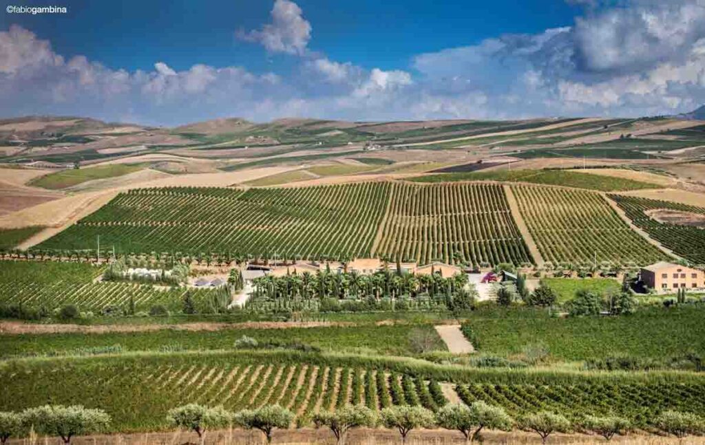 The Wine Table chiude con Donnafugata: a Cuccaro Vetere brindisi dedicato alla Sicilia