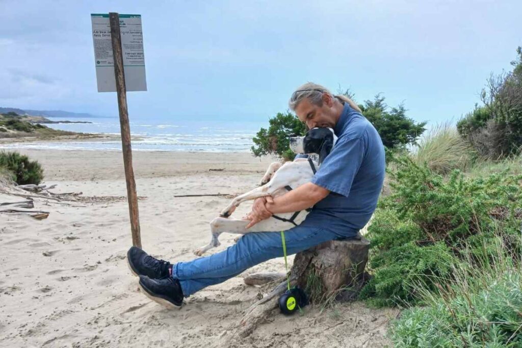 COLPO DI CODA / Macchia, il Pointer abbandonato ha ritrovato l’amore: un’adozione che commuove